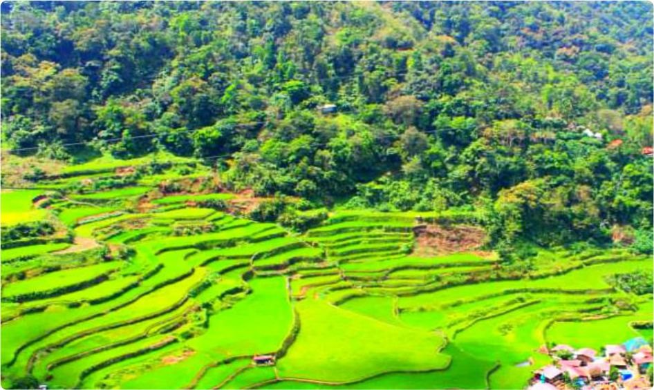 Banaue