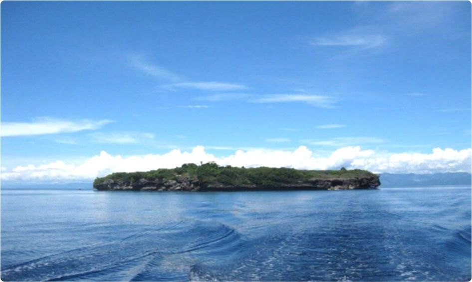 Moalboal