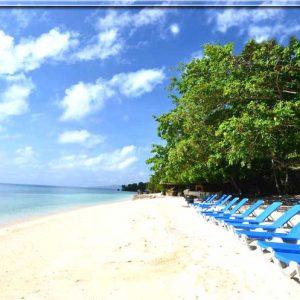 Sanctuary Snorkeling + Cebu City Tour