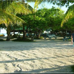Nalusuan Island + Simala Monastery