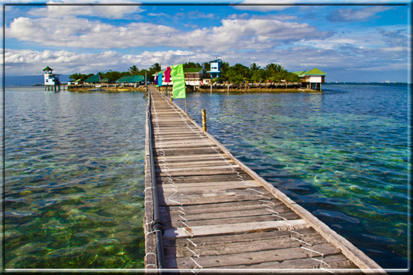 Nalusuan Island Marine Sanctuary Private Tour