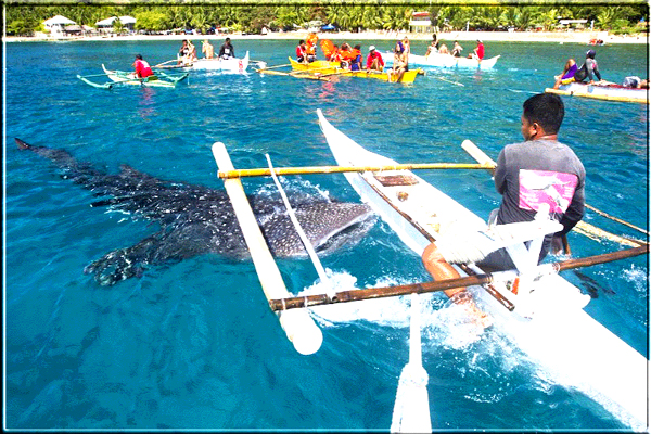 Simala Monastery + Whale Shark Watching