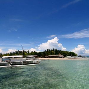 Sanctuary Snorkeling + Jetski Rental