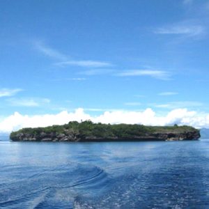 Moalboal Sardine Run + Pescador Island