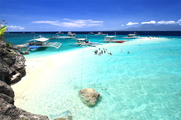 Sumilon Sandbar + Whale Shark