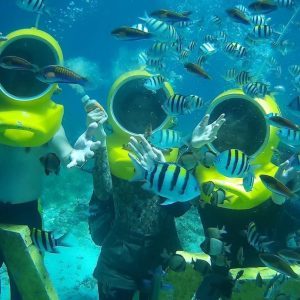Nalusuan Island + 3 in 1 Water Sports