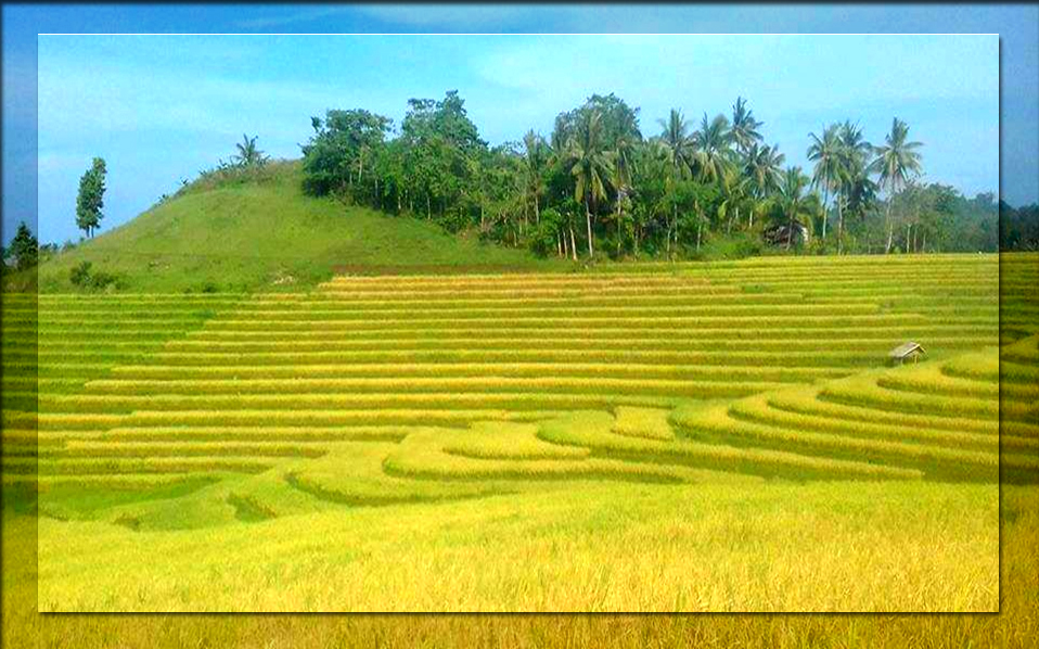 Anda Hidden Paradise Tour