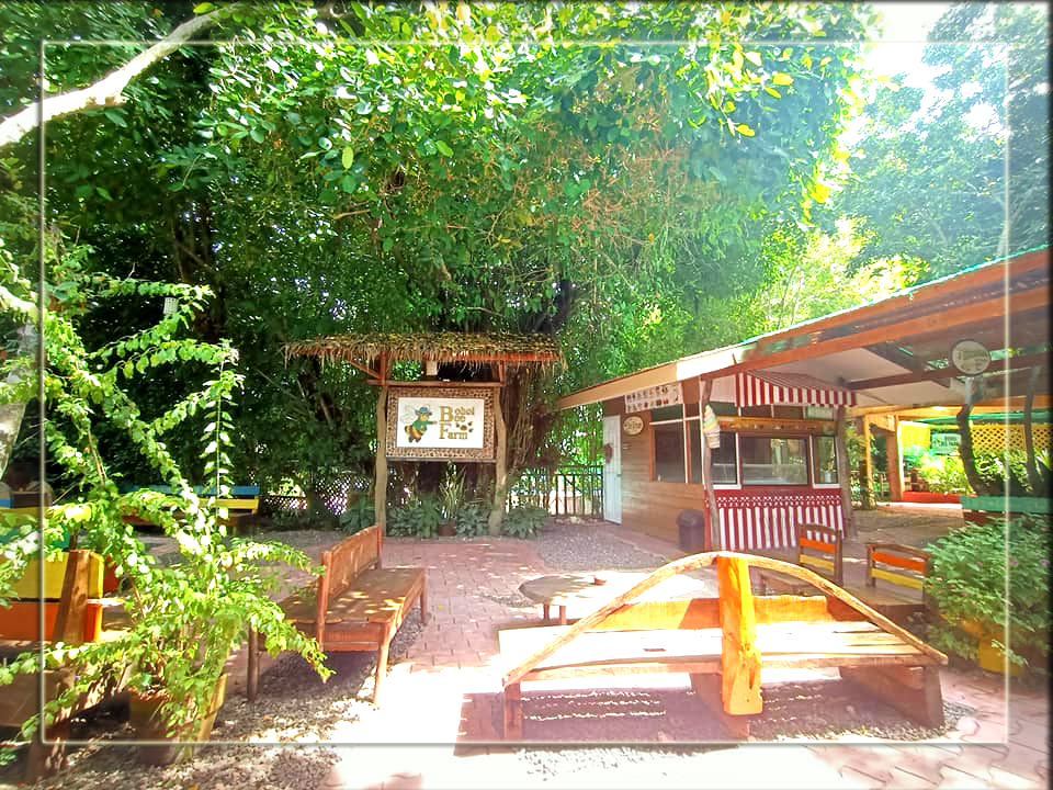 Bohol Panglao Tour