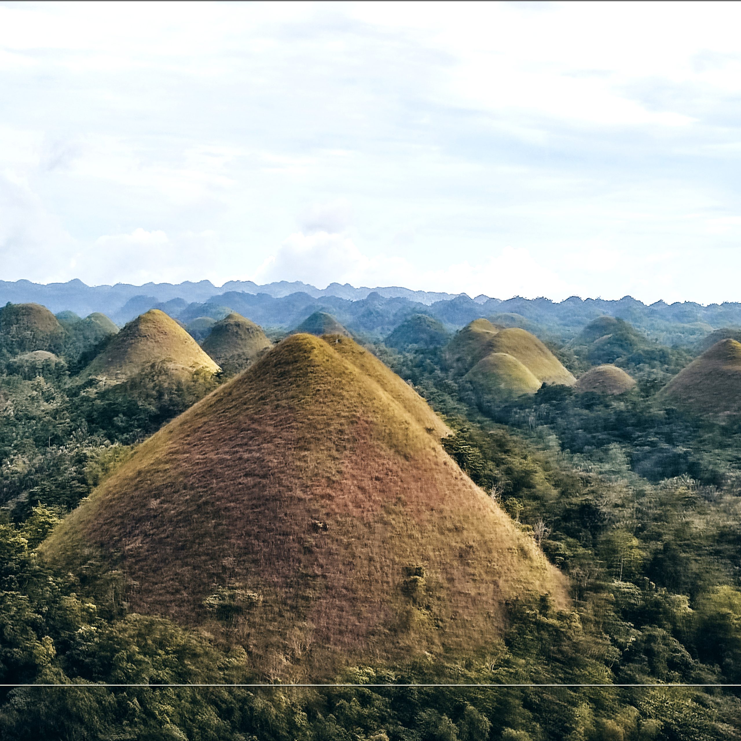 The Chocolate Hills in Bohol, green after the rains
