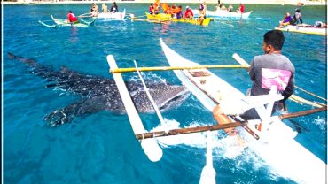 Simala Monastery Whale Shark