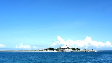 Ocean Marine Tour Activities