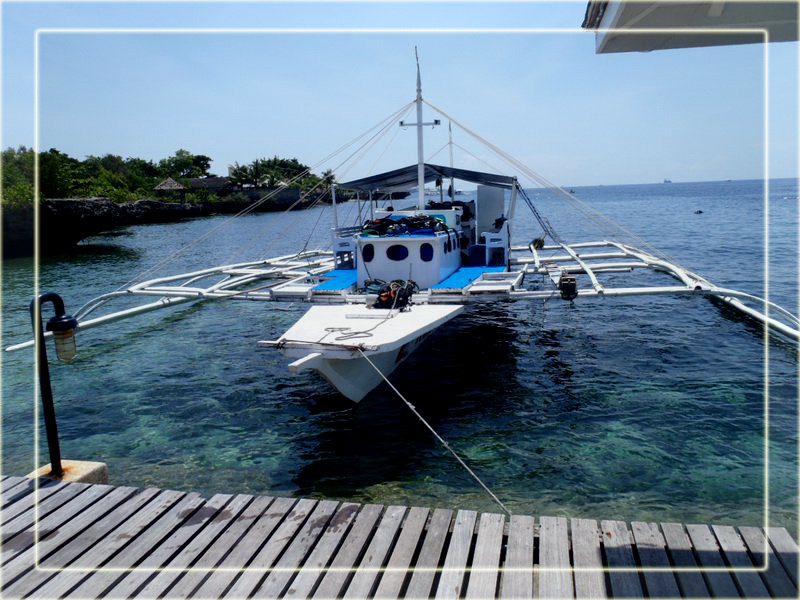 Cebu Direct Travel And Tour Operator, Best Private Tours, Group Tours, Sightseeing, Educational Tours, Hotel & Flight Booking, Island Adventure, Snorkeling, Seawalker, City Tour, Oslob Whale Shark Watching, Bohol Tour