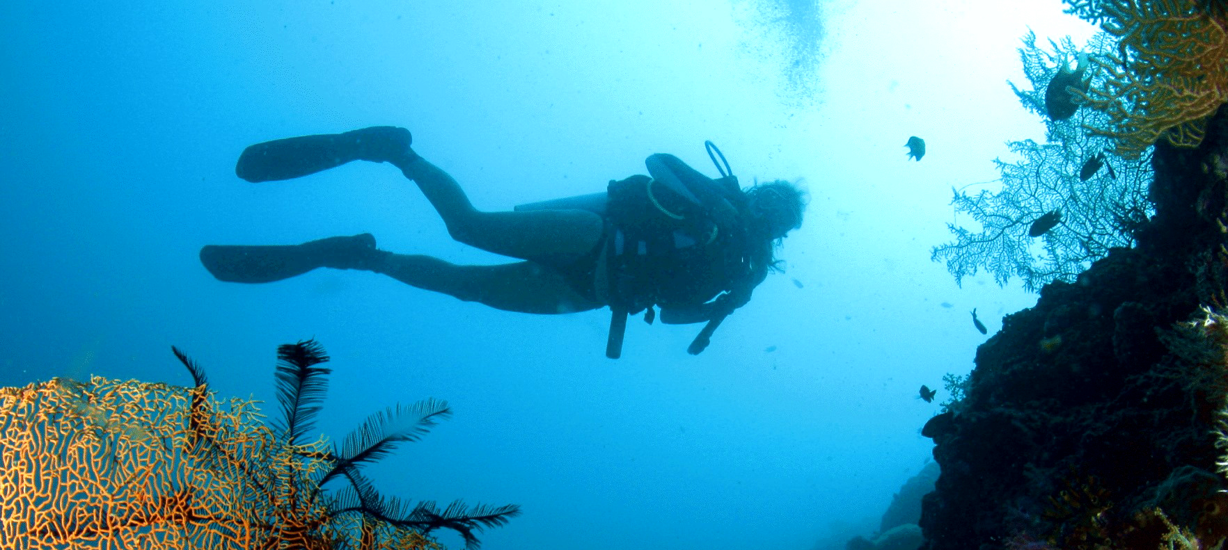 Scuba Diving in Cebu, Scuba Diving near me