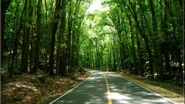 Chocolate Hills SUP Yoga